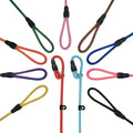 Nylon Dog Leash – 4.6FT Braided Nylon, Assorted Colors